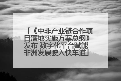 《中非产业链合作项目落地实施方案总纲》发布 数字化平台赋能非洲发展驶入快车道