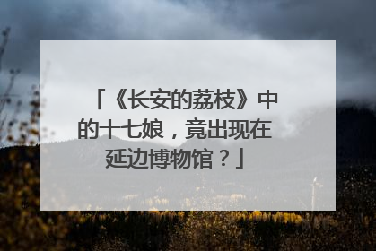 《长安的荔枝》中的十七娘，竟出现在延边博物馆？