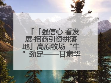 「强信心 看发展·招商引资拼落地」高原牧场“牛”劲足——甘肃华予高原牧场高标准奶牛肉牛养殖项目一线见闻