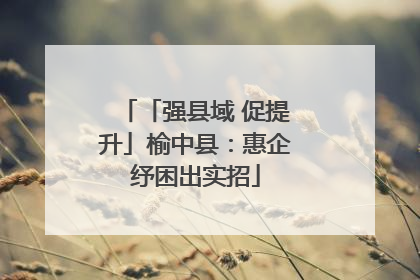 「强县域 促提升」榆中县：惠企纾困出实招