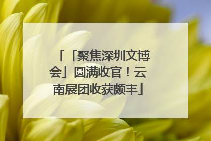 「聚焦深圳文博会」圆满收官！云南展团收获颇丰