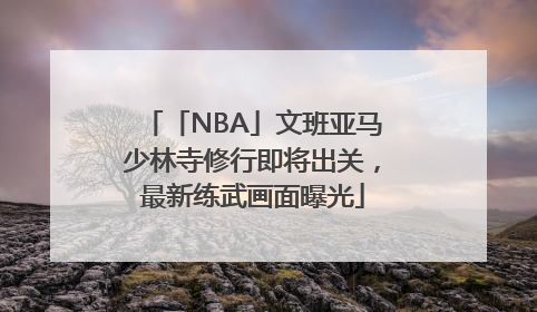 「NBA」文班亚马少林寺修行即将出关，最新练武画面曝光