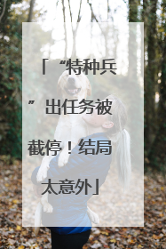 “特种兵”出任务被截停！结局太意外
