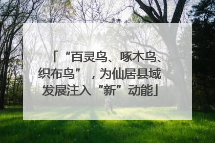 “百灵鸟、啄木鸟、织布鸟”，为仙居县域发展注入“新”动能