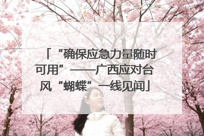 “确保应急力量随时可用”——广西应对台风“蝴蝶”一线见闻