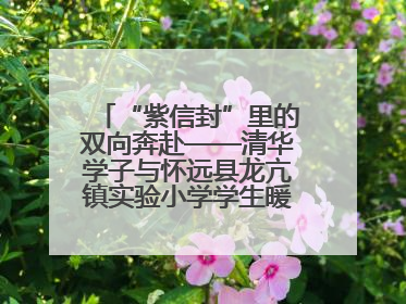 “紫信封”里的双向奔赴——清华学子与怀远县龙亢镇实验小学学生暖心书信之约