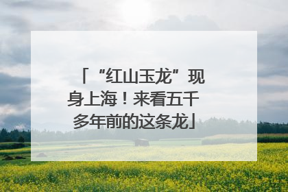“红山玉龙”现身上海！来看五千多年前的这条龙