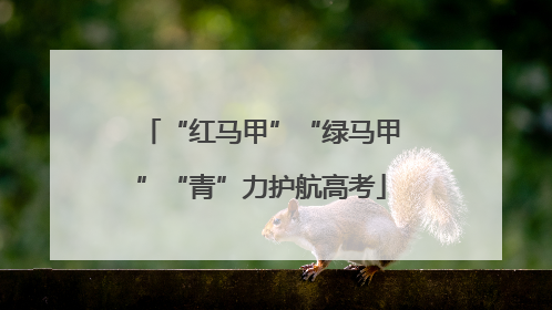 “红马甲”“绿马甲”“青”力护航高考