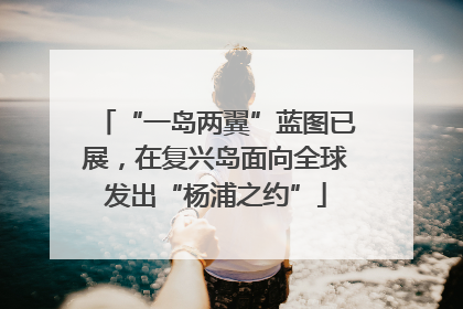 “一岛两翼”蓝图已展，在复兴岛面向全球发出“杨浦之约”