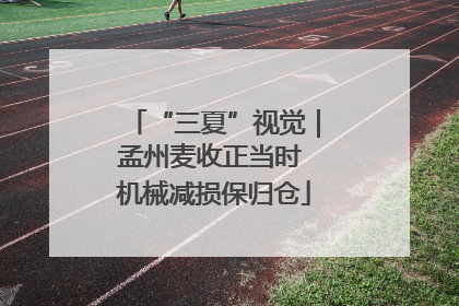 “三夏”视觉｜孟州麦收正当时 机械减损保归仓