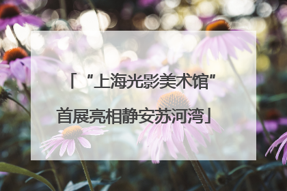 “上海光影美术馆”首展亮相静安苏河湾