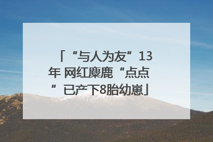 “与人为友”13年 网红麋鹿“点点”已产下8胎幼崽
