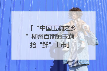 “中国玉藕之乡”柳州百朋镇玉藕抢“鲜”上市