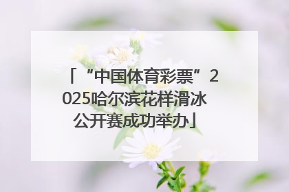 “中国体育彩票”2025哈尔滨花样滑冰公开赛成功举办