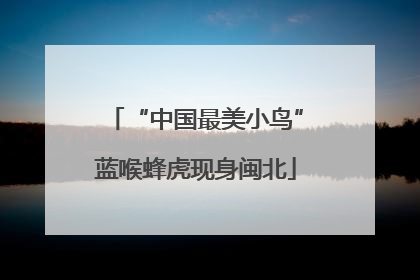“中国最美小鸟”蓝喉蜂虎现身闽北