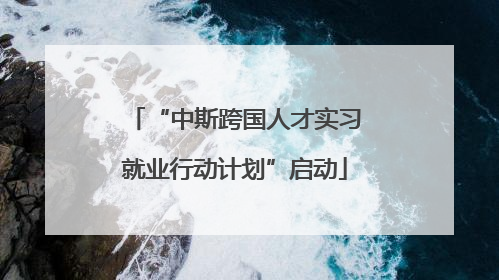 “中斯跨国人才实习就业行动计划”启动