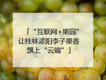 “互联网+果园”让桂林灌阳李子果香飘上“云端”
