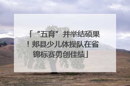 “五育”并举结硕果！郏县少儿体操队在省锦标赛勇创佳绩