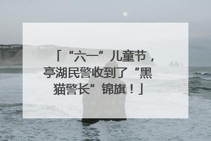 “六一”儿童节，亭湖民警收到了“黑猫警长”锦旗！