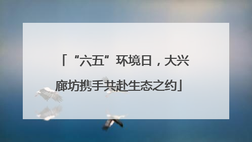 “六五”环境日，大兴廊坊携手共赴生态之约