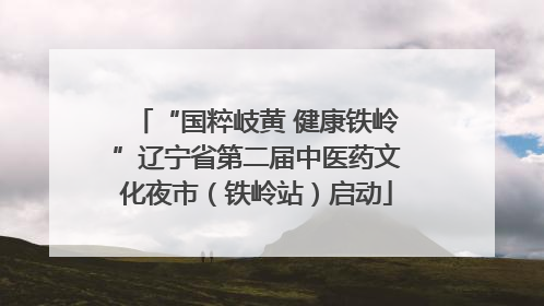 “国粹岐黄 健康铁岭”辽宁省第二届中医药文化夜市（铁岭站）启动