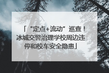 “定点+流动”巡查！冰城交警治理学校周边违停和校车安全隐患