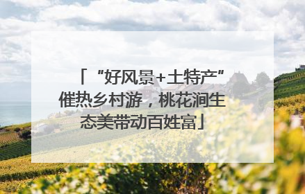 “好风景+土特产”催热乡村游，桃花涧生态美带动百姓富
