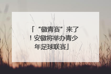 “徽青赛”来了！安徽将举办青少年足球联赛