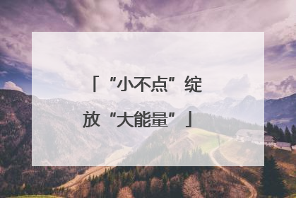 “小不点”绽放“大能量”