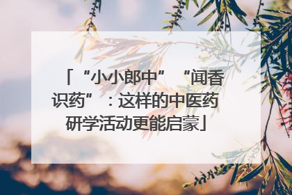 “小小郎中”“闻香识药”：这样的中医药研学活动更能启蒙