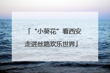 “小葵花”看西安走进丝路欢乐世界