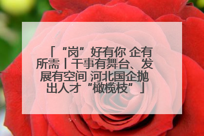 “岗”好有你 企有所需丨干事有舞台、发展有空间 河北国企抛出人才“橄榄枝”