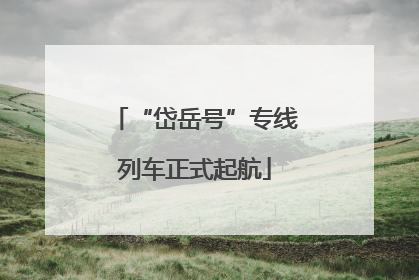 “岱岳号”专线列车正式起航
