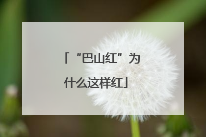 “巴山红”为什么这样红