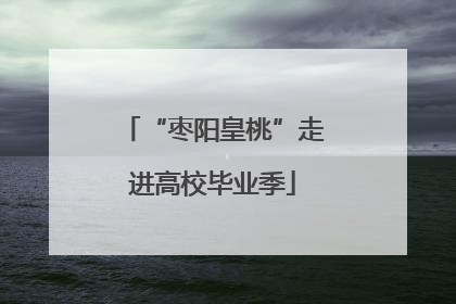 “枣阳皇桃”走进高校毕业季