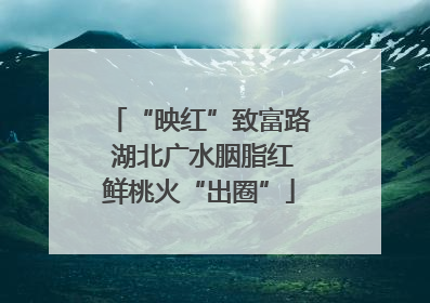 “映红”致富路 湖北广水胭脂红鲜桃火“出圈”
