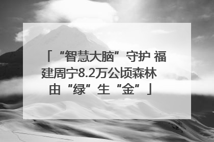 “智慧大脑”守护 福建周宁8.2万公顷森林由“绿”生“金”