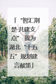 “智汇荆楚·共建支点” 我为湖北“十五五”规划建言献策