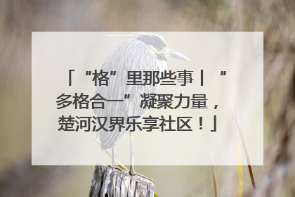 “格”里那些事丨“多格合一”凝聚力量，楚河汉界乐享社区！