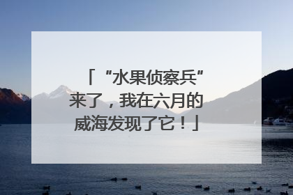 “水果侦察兵”来了，我在六月的威海发现了它！