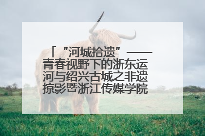 “河城拾遗”——青春视野下的浙东运河与绍兴古城之非遗掠影暨浙江传媒学院小学期来绍