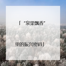 “泉果飘香”里的振兴密码