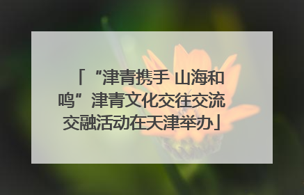 “津青携手 山海和鸣”津青文化交往交流交融活动在天津举办
