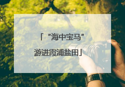 “海中宝马”游进霞浦盐田