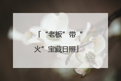 “老板”带“火”宝藏日照
