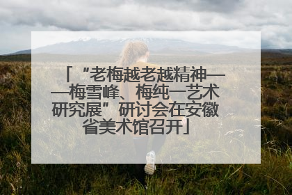 “老梅越老越精神——梅雪峰、梅纯一艺术研究展”研讨会在安徽省美术馆召开