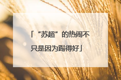 “苏超”的热闹不只是因为踢得好