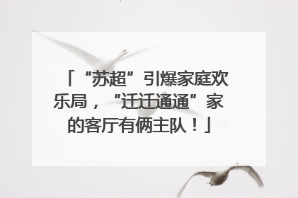 “苏超”引爆家庭欢乐局，“迁迁通通”家的客厅有俩主队！