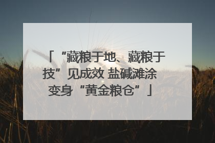 “藏粮于地、藏粮于技”见成效 盐碱滩涂变身“黄金粮仓”