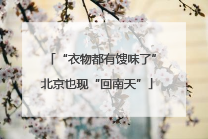 “衣物都有馊味了”北京也现“回南天”